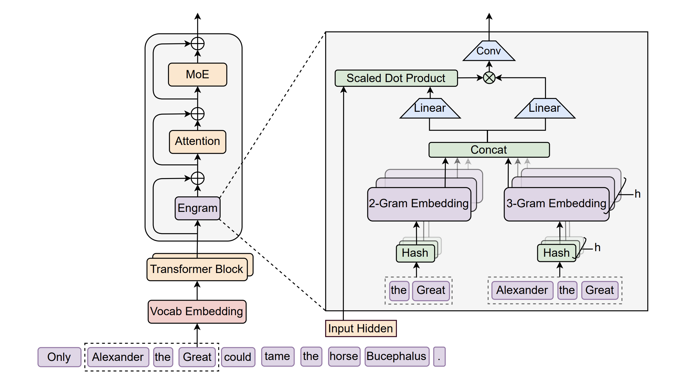 The Engram Architecture. The module augments the backbone by retrieving static N-gram memory.